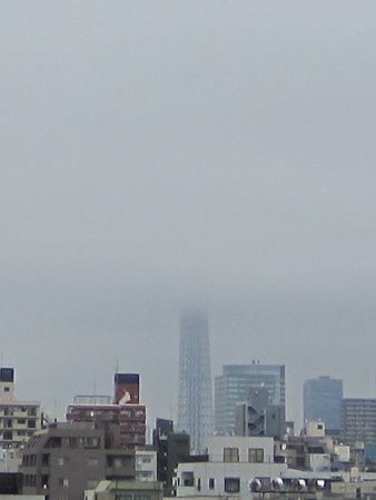 XJCc[(2013N101)am8:45