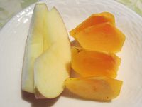 �t�W�Ɨ����`