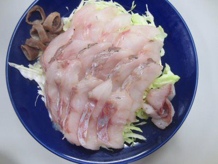 クロソイ 黒曹以 かぎけんweb クロソイ 黒曹以 かぎけんweb