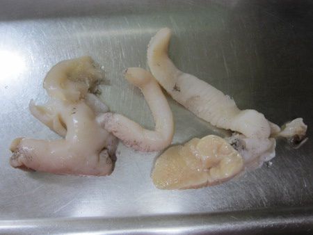 �V���o�C�L�ނ��g