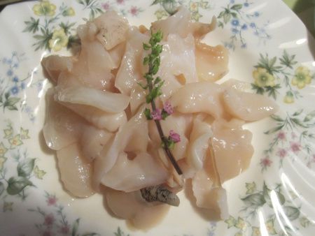 �V���o�C�L�ނ��g