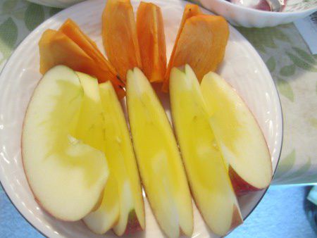 �t�W�ƕx�L�`