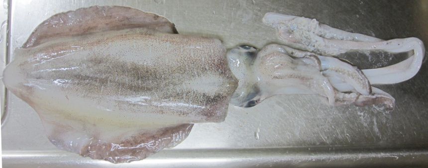 �A�I���C�J