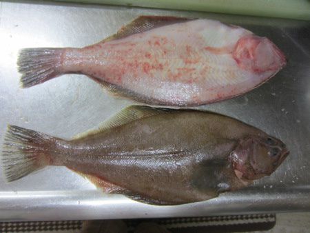 �A�J�K���C