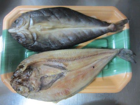泳ぐホッケから干物のホッケまで ホッケ 魚 かぎけんweb 泳ぐホッケから干物のホッケまで ホッケ 魚 かぎけんweb