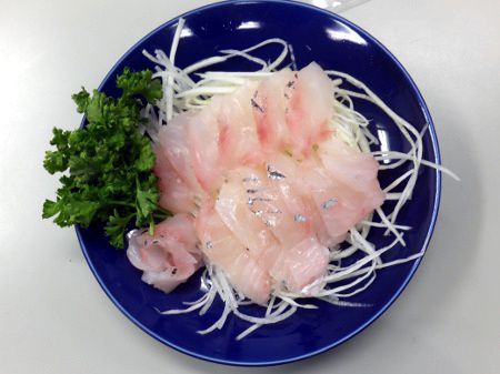 メダイ 目鯛 かぎけんweb
