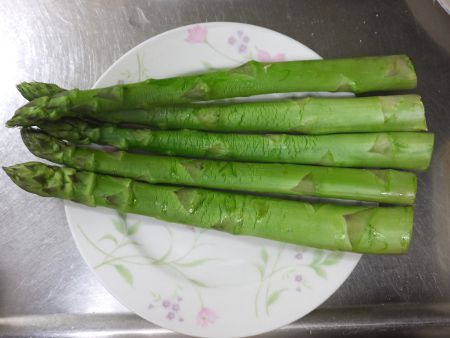アスパラガス(Asparagus)【かぎけんWEB】 アスパラガス(Asparagus)【かぎけんWEB】
