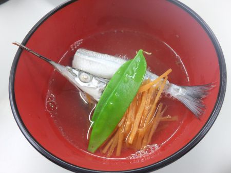 サヨリ 細魚 針魚 かぎけんweb