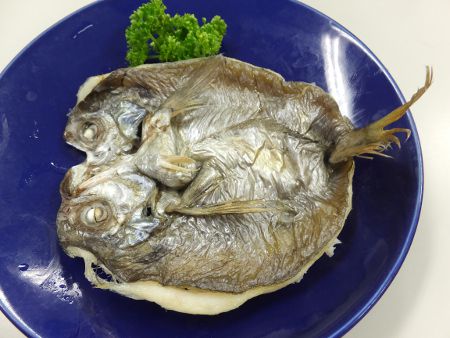 メダイ 目鯛 かぎけんweb