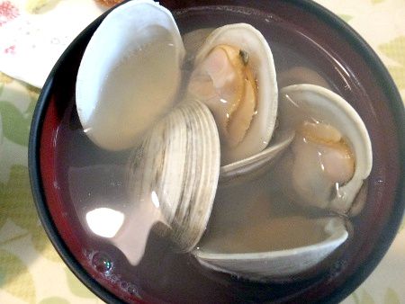 美之主貝