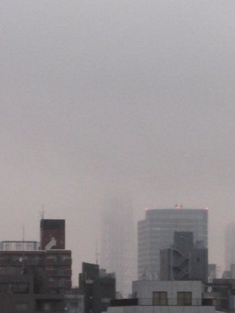 �����X�J�C�c���[