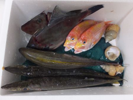 ����ރZ�b�g