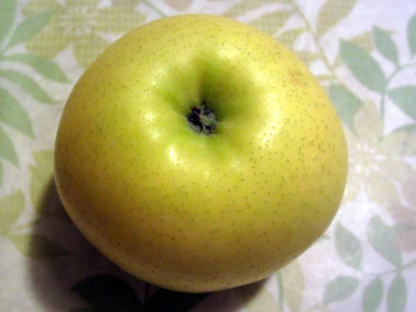 リンゴ 林檎 かぎけんweb リンゴ 林檎 かぎけんweb