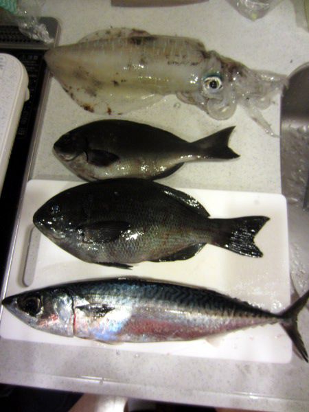 މʁiォj-AICJAWi2AS}To