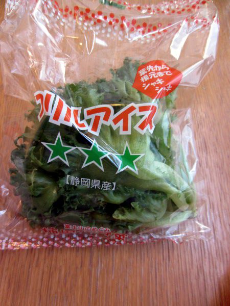 レタス(Lettuce)【かぎけんWEB】