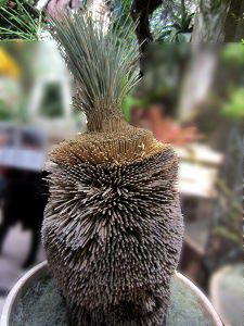 �u���b�N�{�[�C2