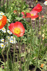 ACXh|s[ 'h[tJNe~bNX'