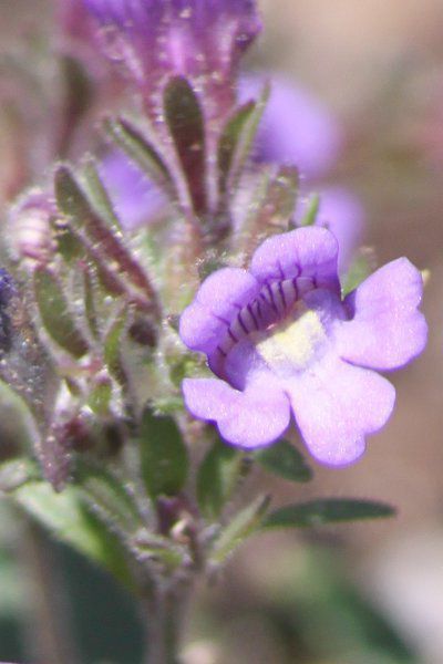 PmqiiJGmij'T}[XJC' 'T}[XJC'