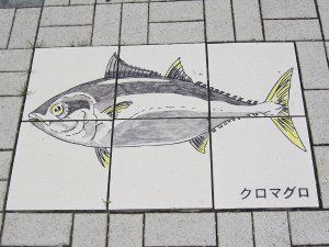 マグロ 鮪 かぎけんweb