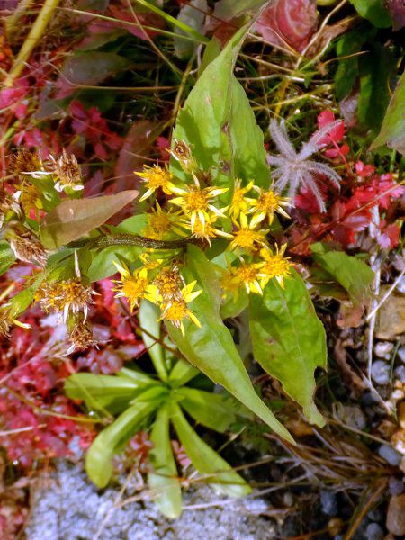 ~}ALmL\E_fuji_10i2015N921j