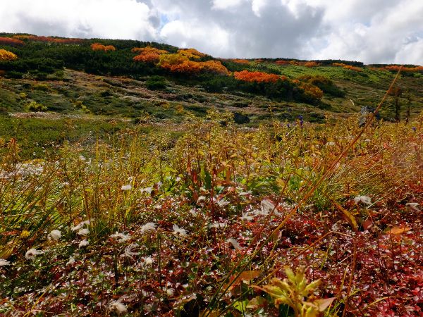 OhJo[_fuji_17i2015N921j