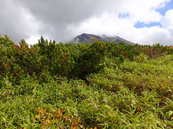 N}UTƃnC}c̗_fuji_18i2015N921j