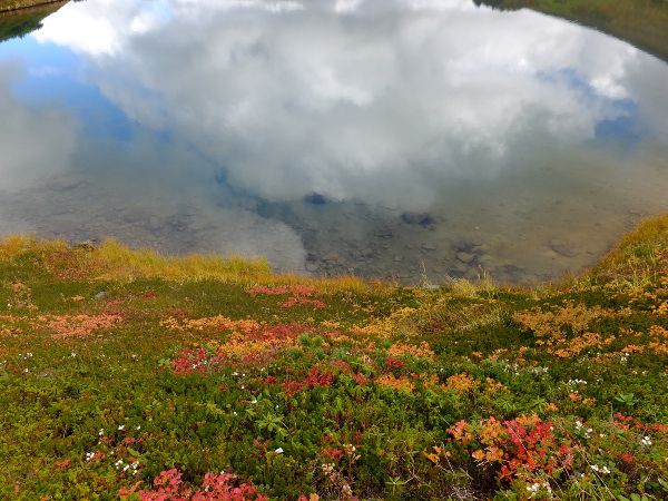 rƍRA_fuji_2i2015N921j