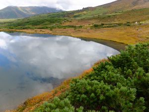 nC}c_fuji_4i2015N921j