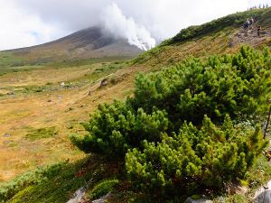 nC}c_fuji_5i2015N921j