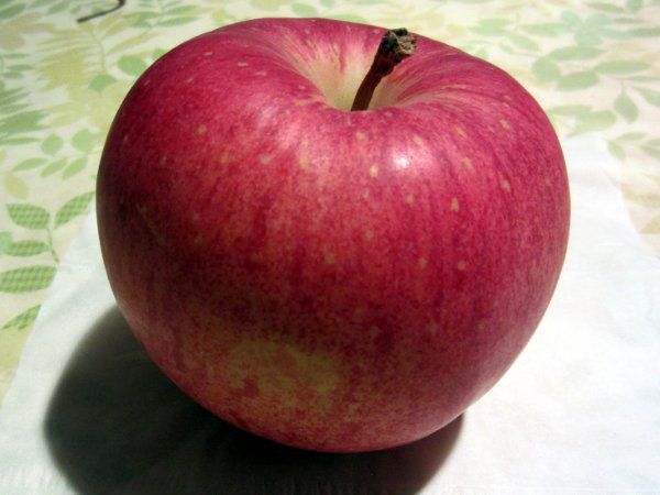 2500枚 果実袋 りんご 林檎 袋 HB青8.5切二重袋 つがる ふじなど 133×161 リンゴ 柴 タS D 