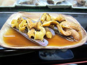 マテガイ 馬刀貝 かぎけんweb マテガイ 馬刀貝 かぎけんweb