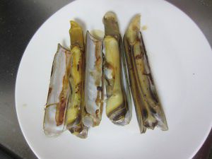 マテガイ 馬刀貝 かぎけんweb マテガイ 馬刀貝 かぎけんweb