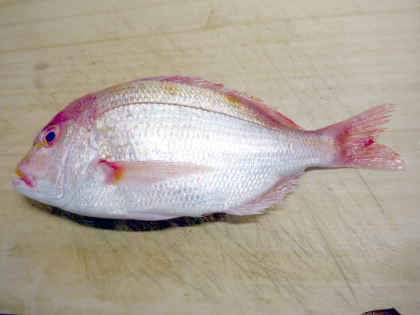 �����R�_�C