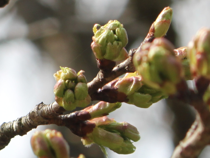 �A�}�M���V�m�i�V��g��j