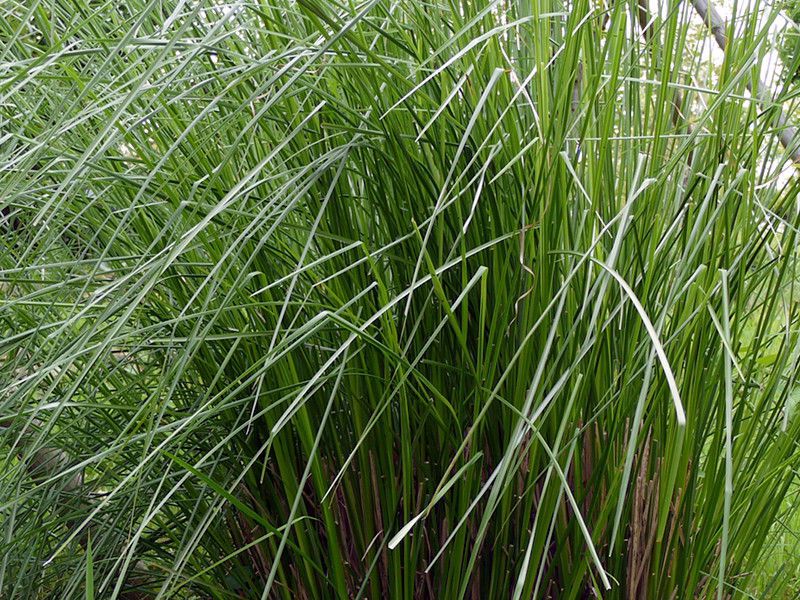 �x�`�x���\�E