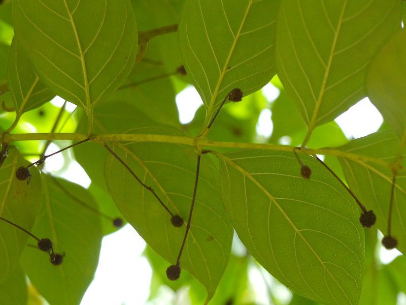 �J�M�J�Y��