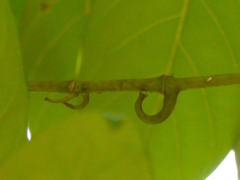 �J�M�J�Y��