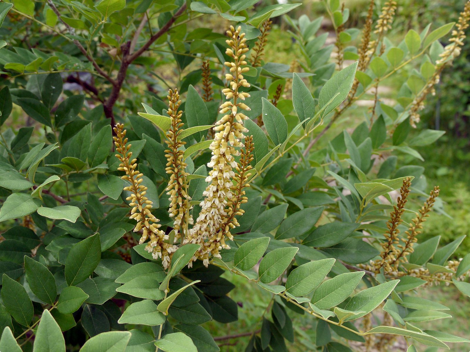 �V�}�G���W��