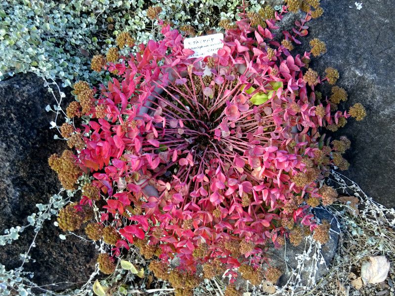 q_J~Zoihidaka-misebayaj