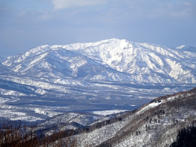 �R������̕��i