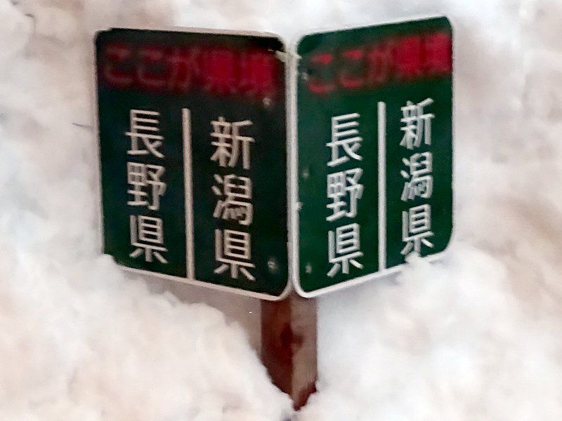 �����g��