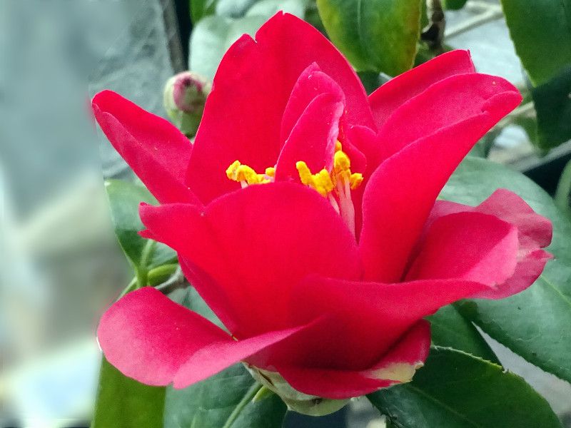 �x�j�m�c���M