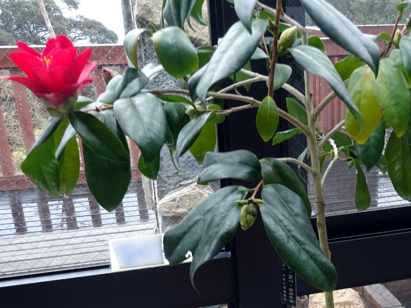 �x�j�m�c���M