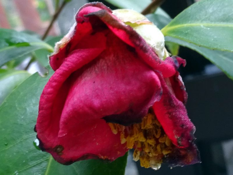 �����T�L�m�I��