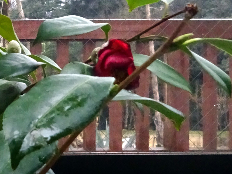 �����T�L�m�I��