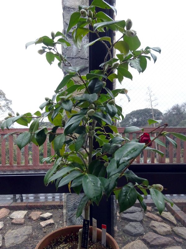 �����T�L�m�I��