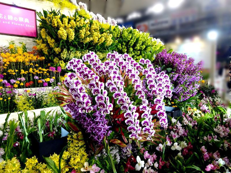 ���E���W2019�Ns