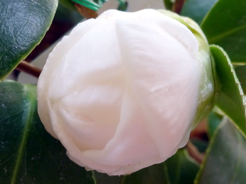 �� ����