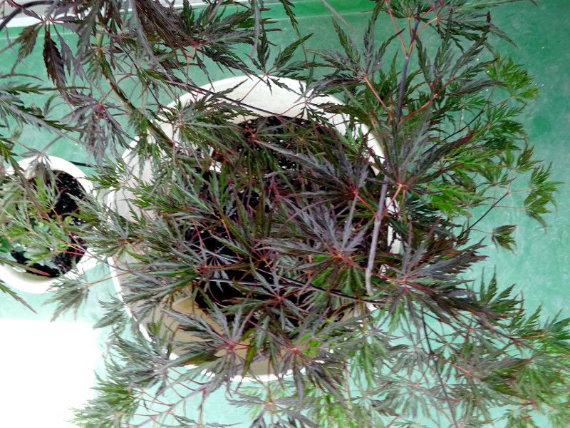 ���~�W '�x�j�V�_��'