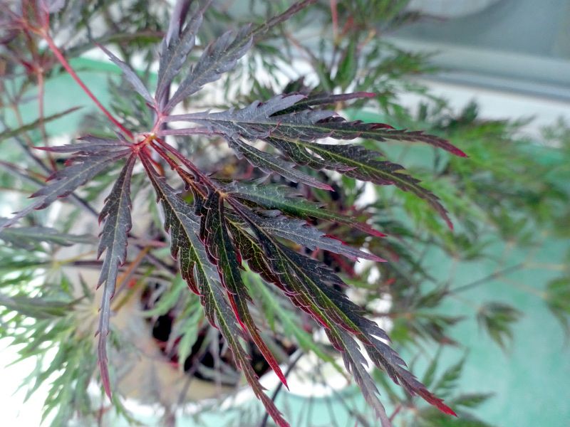 ���~�W '�x�j�V�_��'